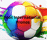 cropped cropped foot international logo mini.png